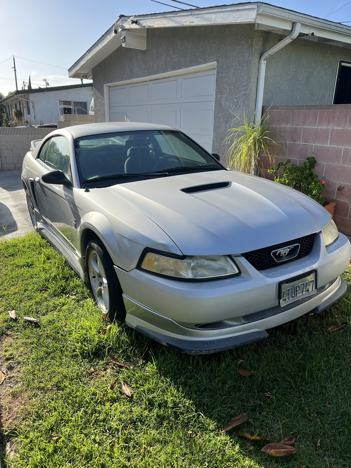 2003 Ford Mustang