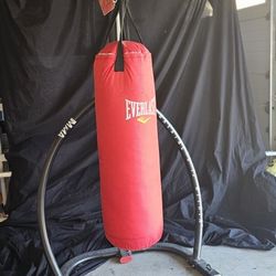 MMA Kick Boxing Bag