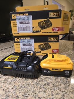 Dewalt Battery and Charger Kit