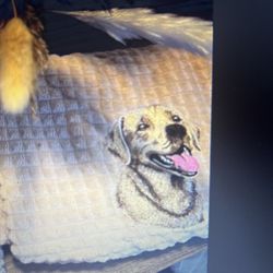 Doggie Blankets/beds