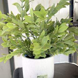 Potted Artificial Plant 