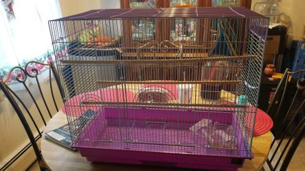Bird cage