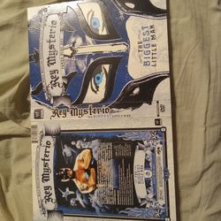 Wwe Rey Mysterio The Biggest Little Man 