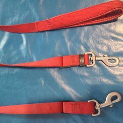 2 Dog Walking Leash
