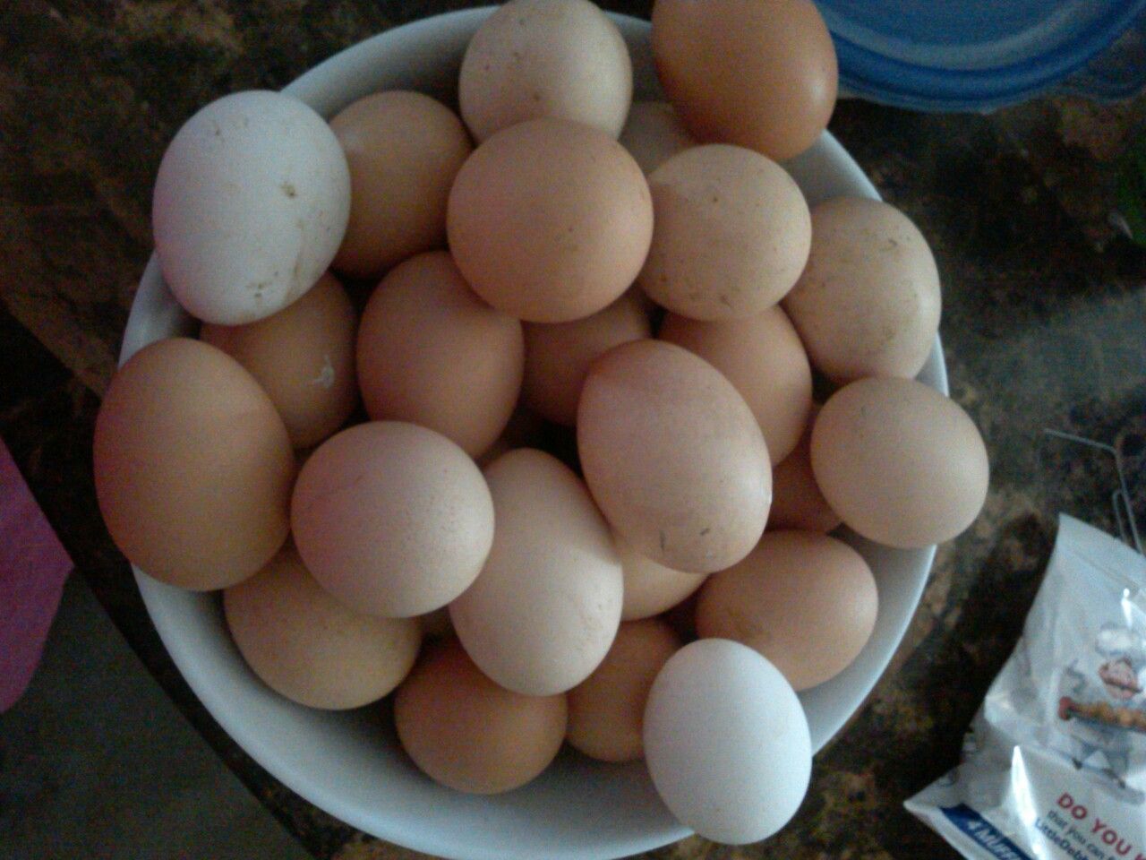 Fresh Daily eggs huebos fresco organicos 4,00 dollars dozens