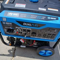 Dual Fuel Generator 13000watt