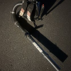 Echo Backpack Leaf Blower