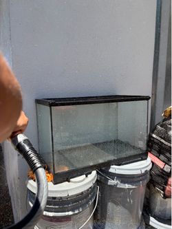 Small Reptile Tank