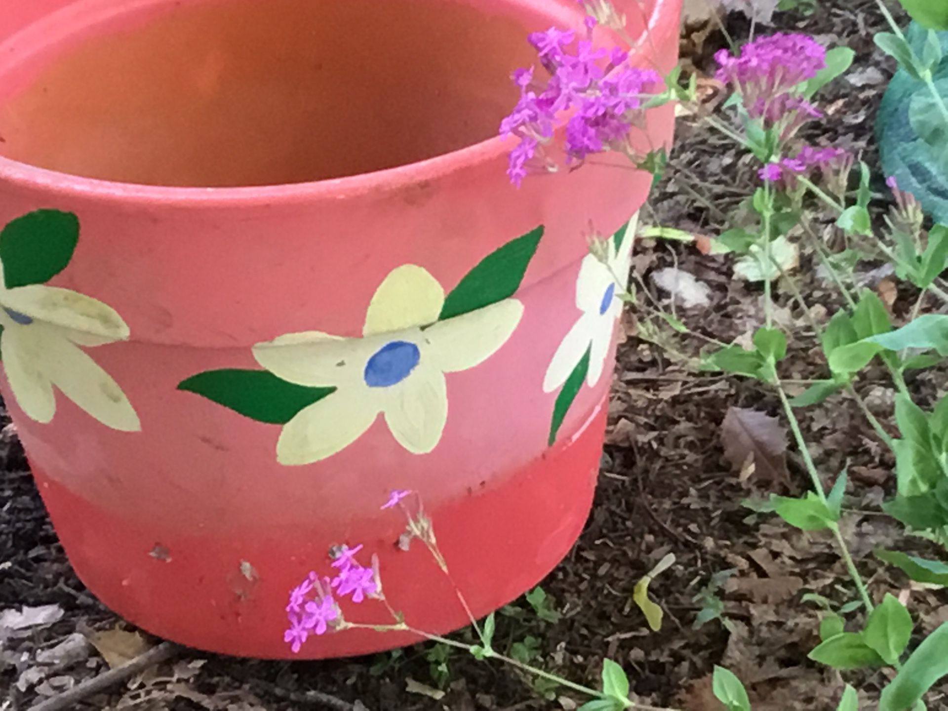 Pretty flower pot