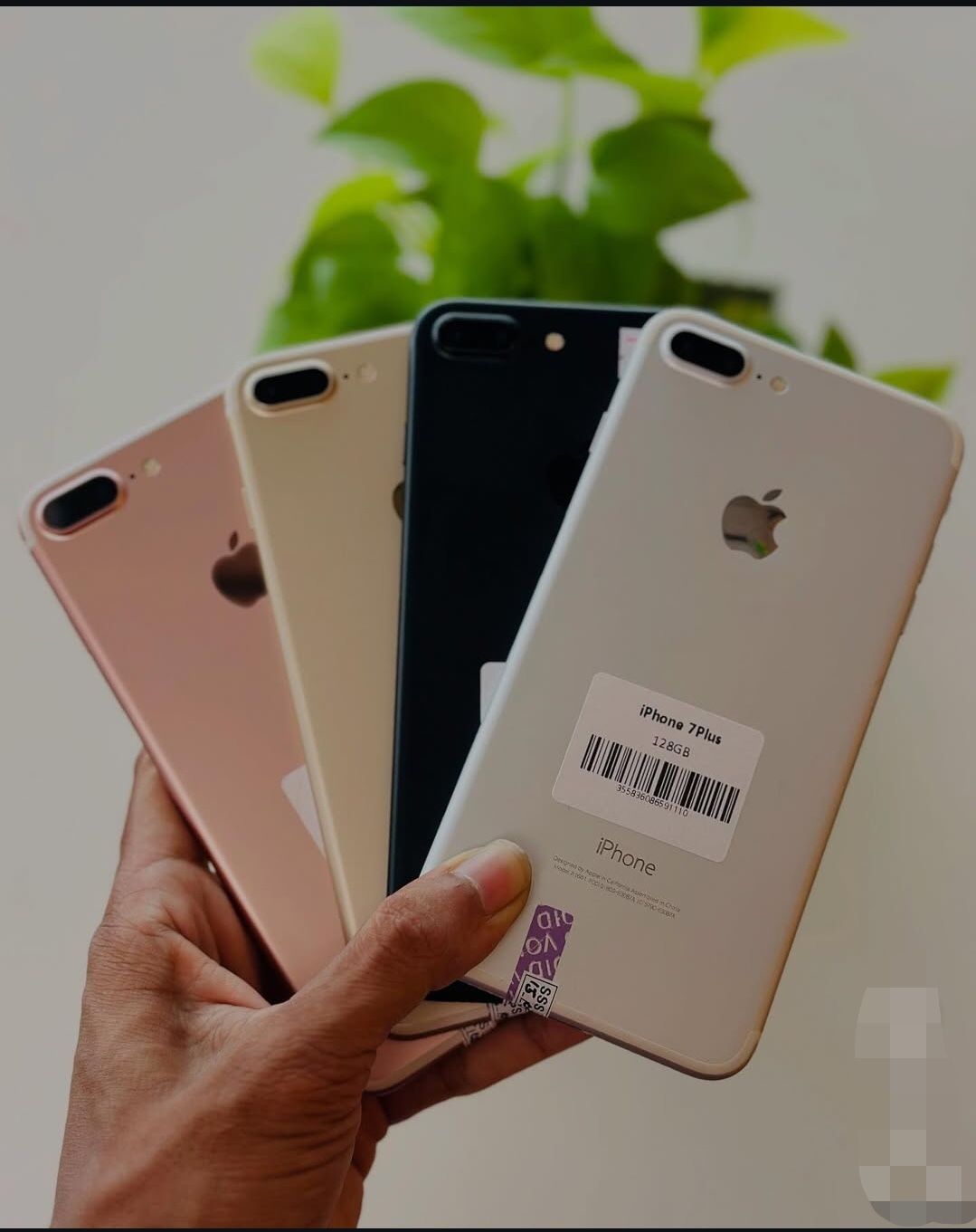 iPhone 7 Plus Unlocked With Warranty