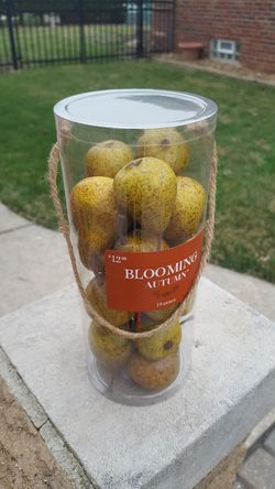 Decorative Pears/new