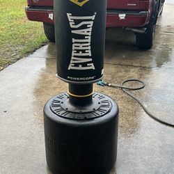 Punching Bag (Everlast Powercore) 