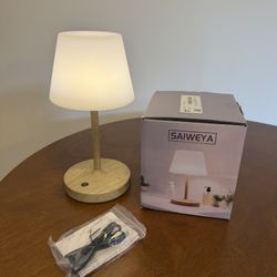 Outdoor Waterproof Shower Lamp, 5200mAh Cordless Rechargeable Table Lamp with Touch Dimming