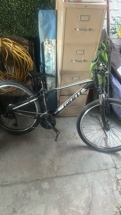 Giant bicycle
