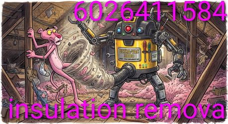 Insulation removal
