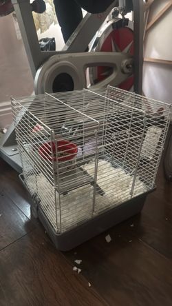 dwarf hamster with cage