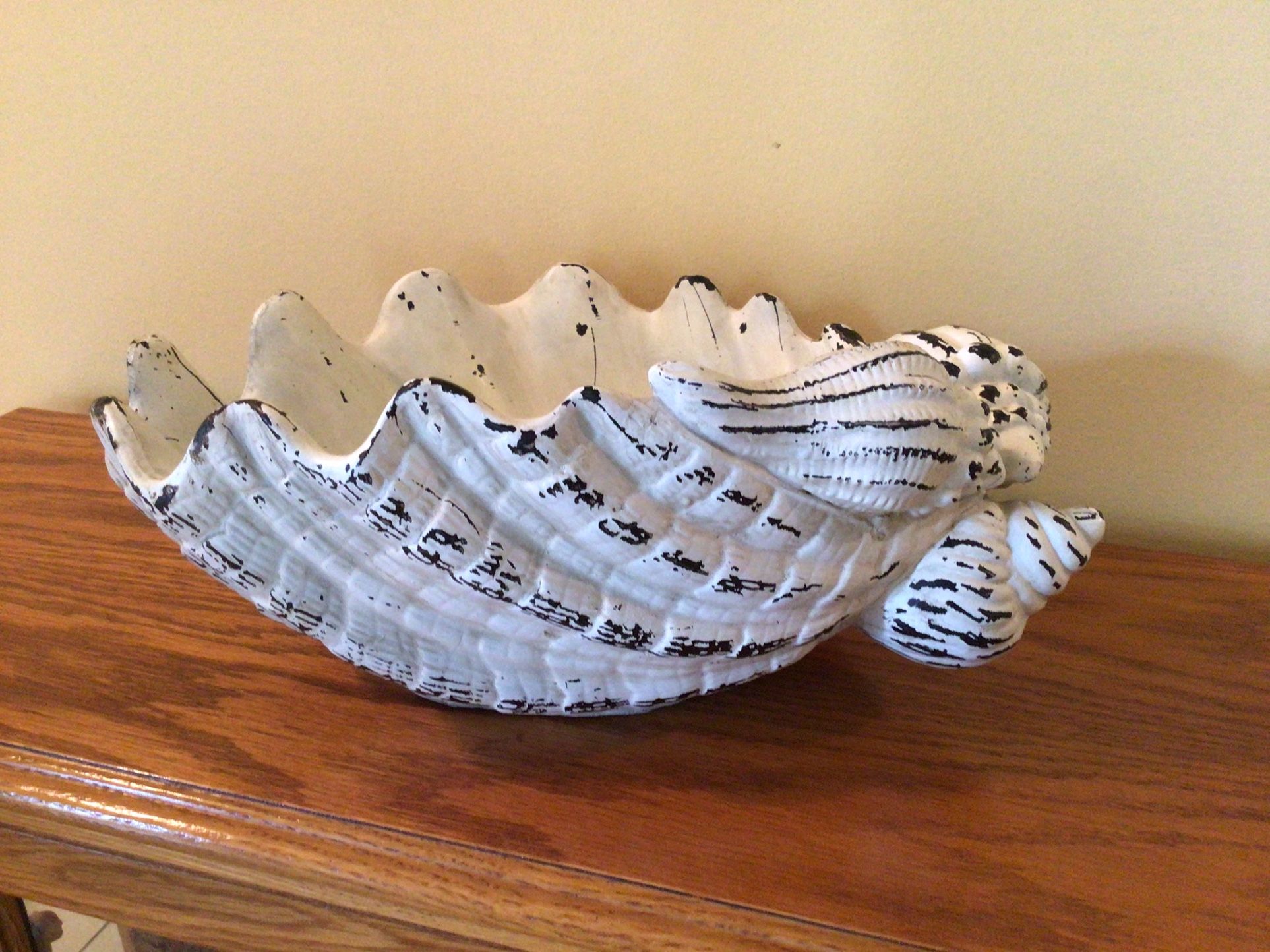 Seashell Bowl/drink Cooler/planter