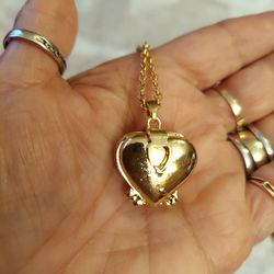 New Beautiful Stainless Steel Heart With Chain 25in Heart Has Weight To It Mpu Serious Buyer's Only Dont Deliver Cash Only 