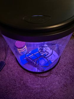 3.5 Gallon Aquarium Tank with Accessories