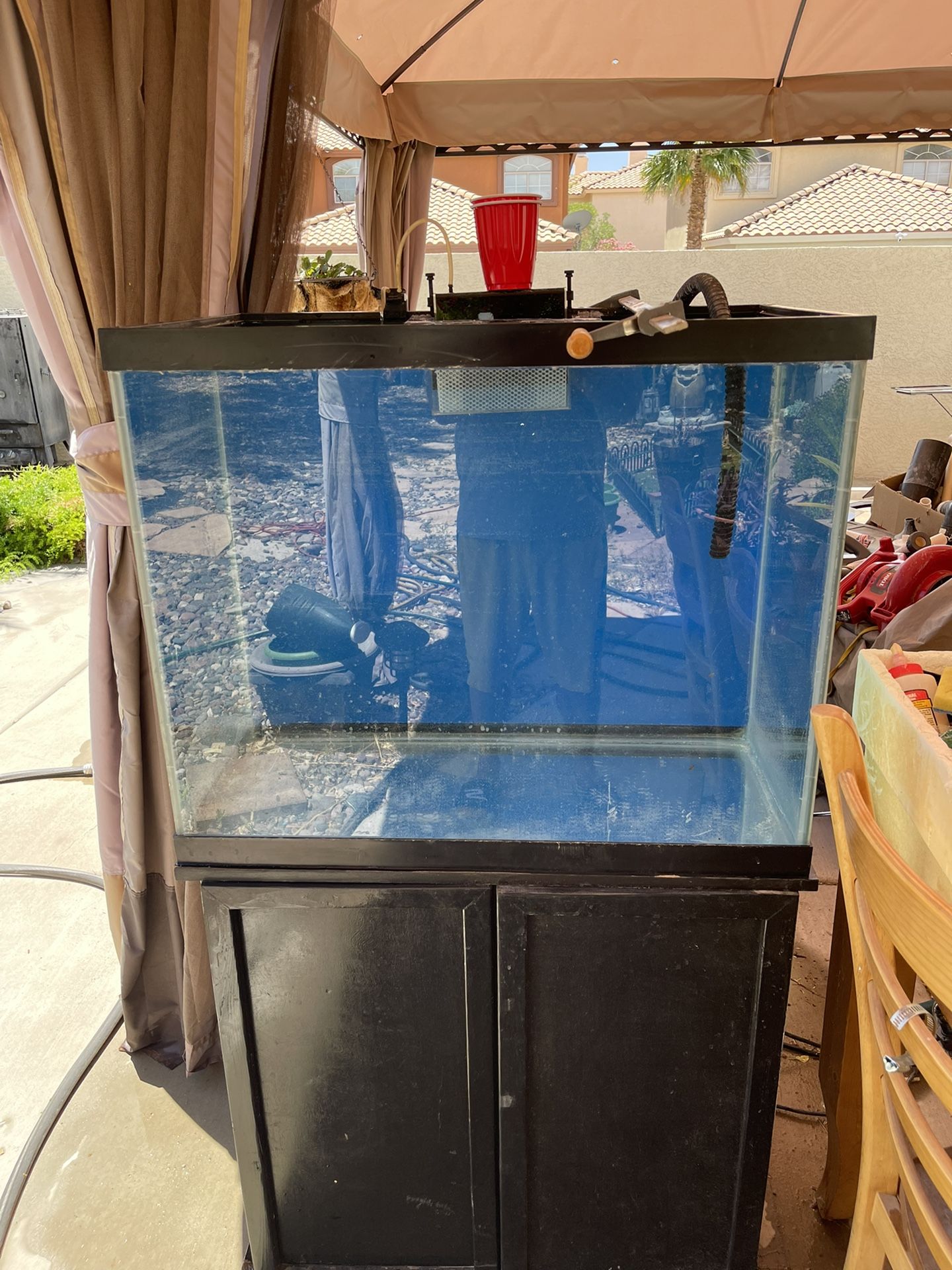 55 Gallon Fish Tank