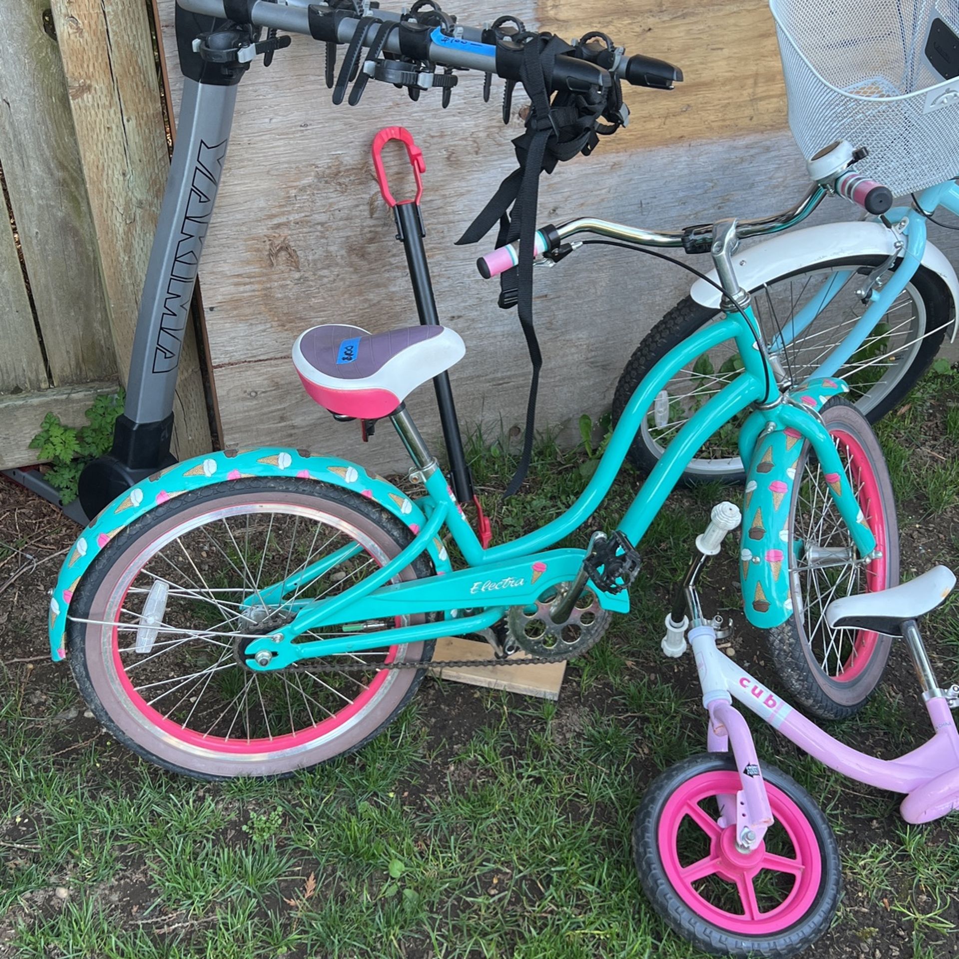 Electra Kids Bike