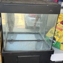 Eclipse Fish Tank