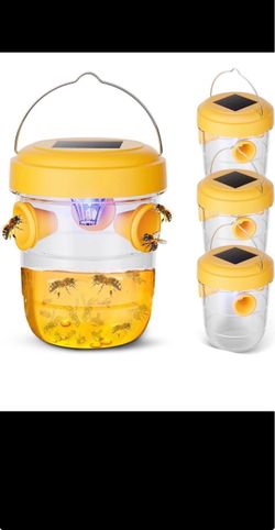 Wasp traps