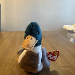 Ty Beanie Baby Jake the Mallard Duck. 