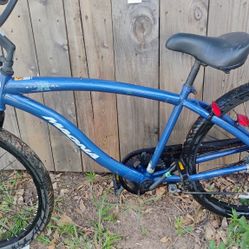 Murray Rip Curl Bicycle 