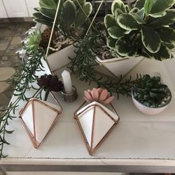 Cute Wall Decor 