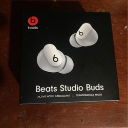 Beats Earbuds