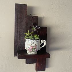 shelf with real succulents