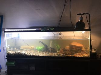 Fresh water tank including a Florida soft shell