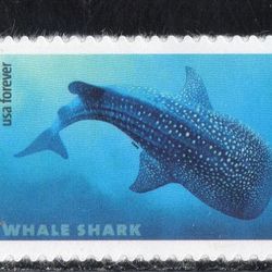 Sharks Forever Stamps