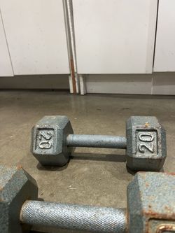 20lb Weights