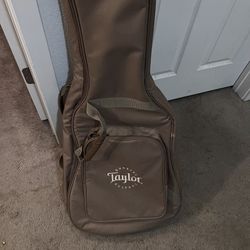 Taylor gig bag