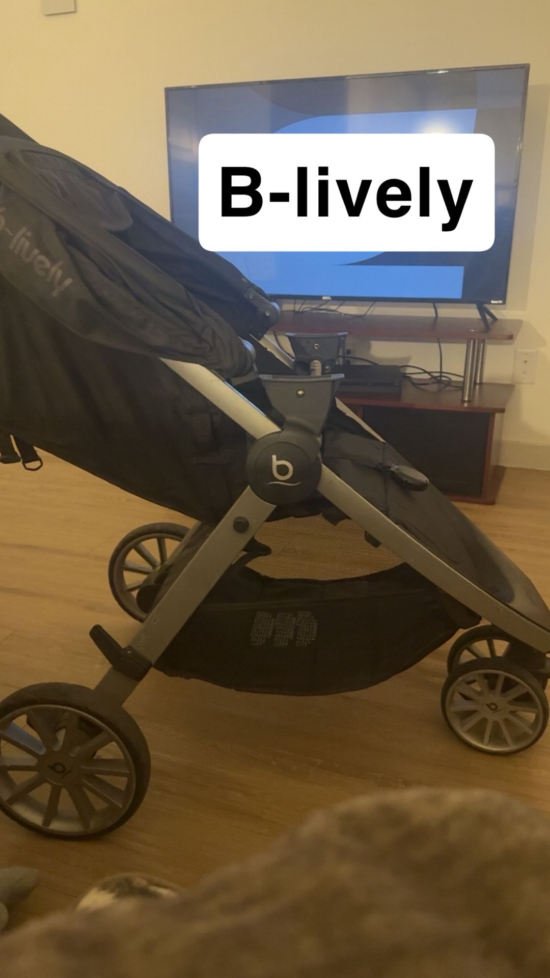 Stroller
