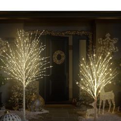 2 lighted Trees