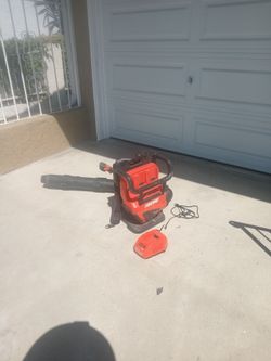 Echo battery blower