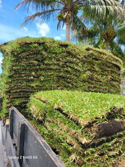 Sod For Sale