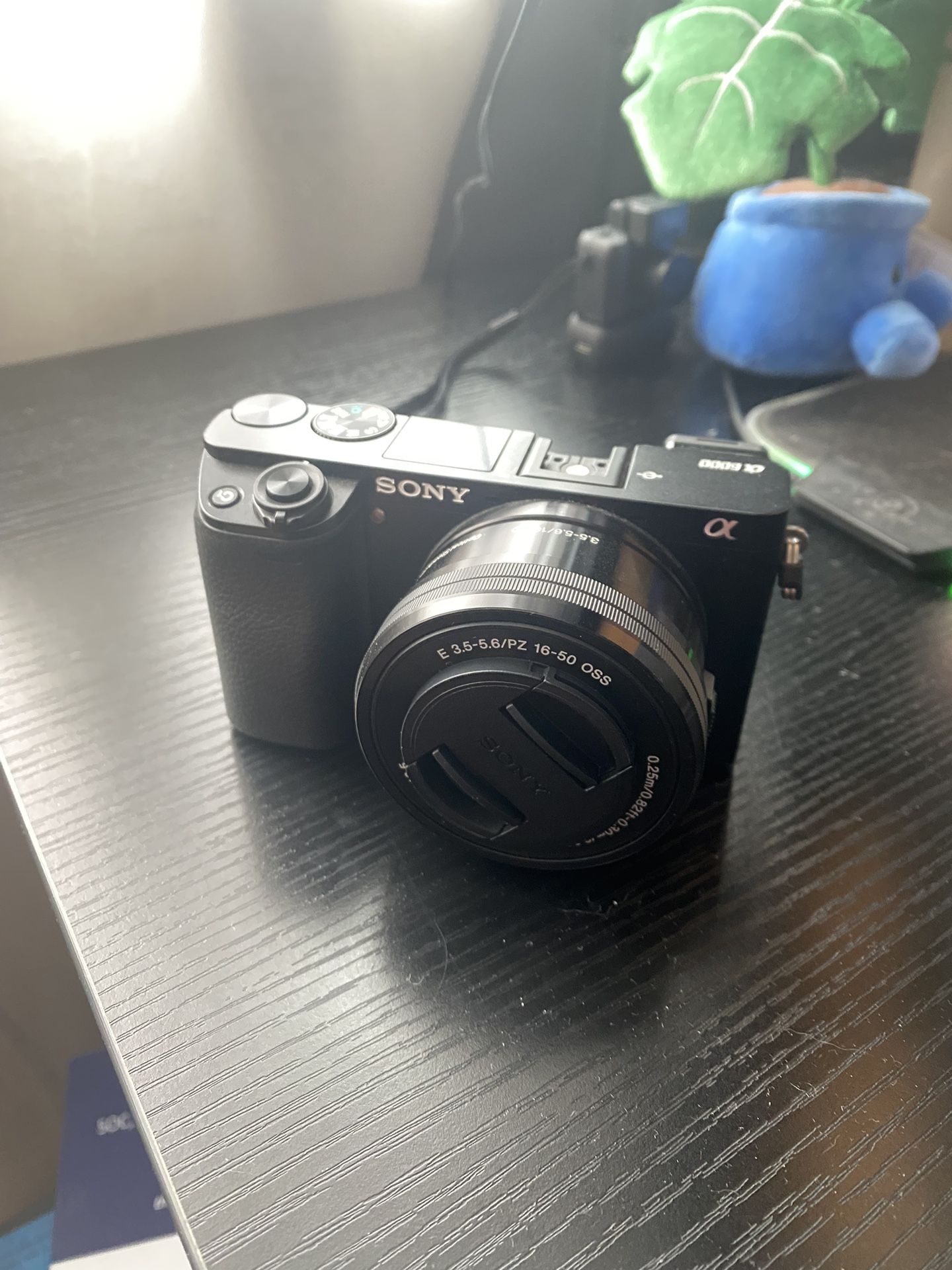 Sony a6 + sigma 16mm F1.4 Contemporary lense