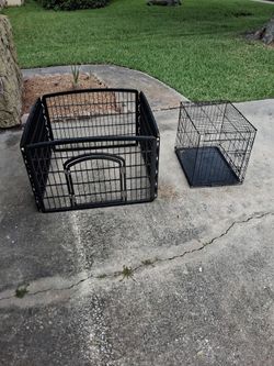 Two puppies  cages