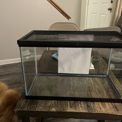 Reptile Tank And Accessories 