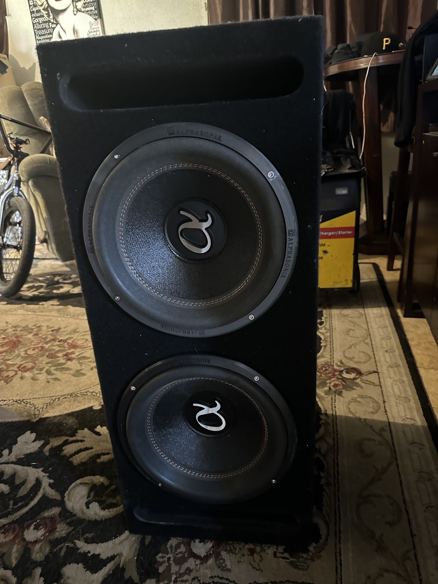 Alphasonik 12” Subwoofer 