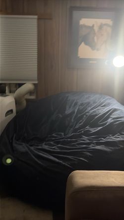 Large bean bag