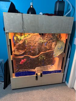 Reptile Habitat