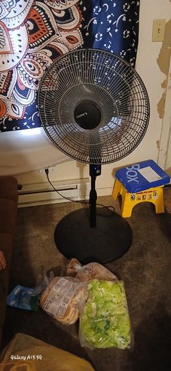 Oscillating Fan 4 Speeds 