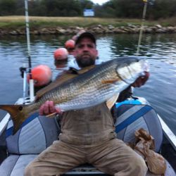 1993 Bass Tracker Bass Boat