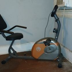 Marry Exercise Bike 
