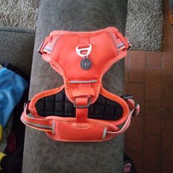 Red Dog Harness Size Small